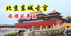 少妇骚逼中国北京-东城古宫旅游风景区